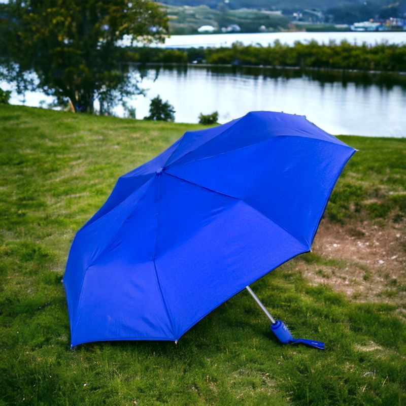 43" Arc Executive Mini Umbrella